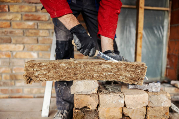 Best Insulation Removal  in Avery Creek, NC