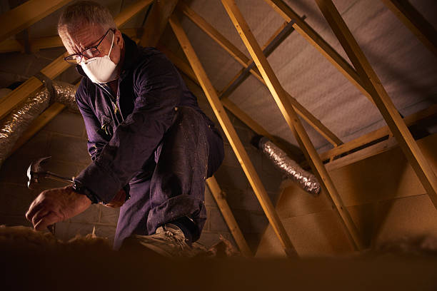 Best Local Insulation Services  in Avery Creek, NC